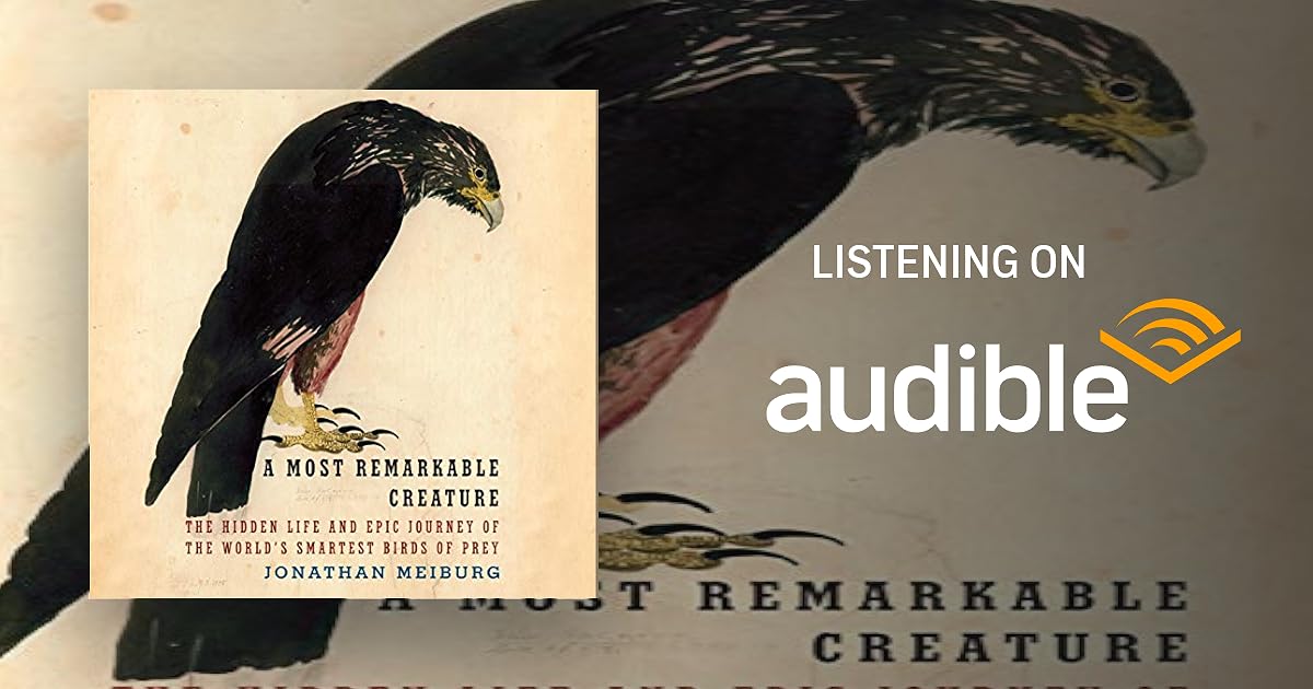 A Most Remarkable Creature book cover