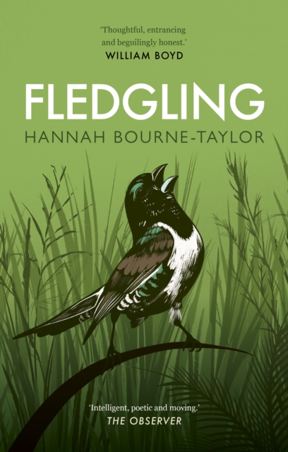 Fledgling book cover
