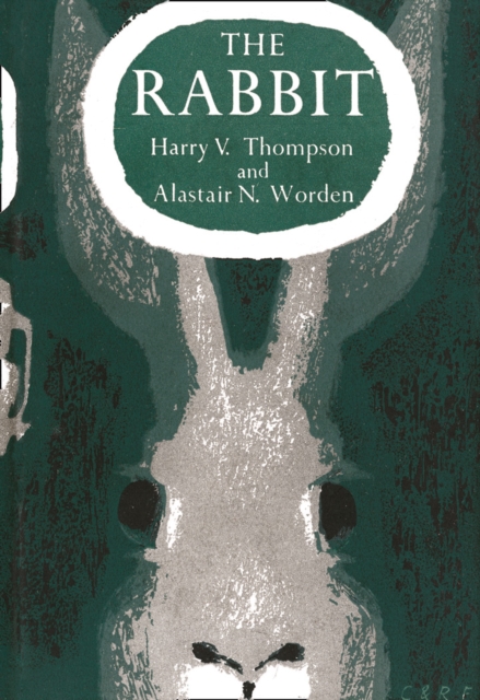 The Rabbit book cover