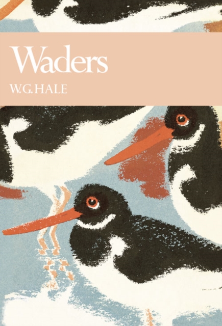 Waders : 65 book cover