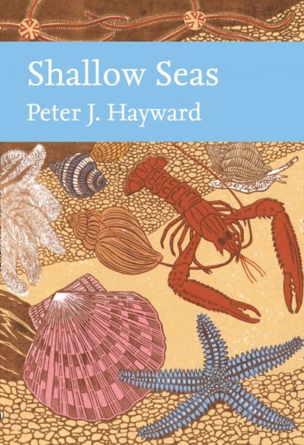 Shallow Seas book cover