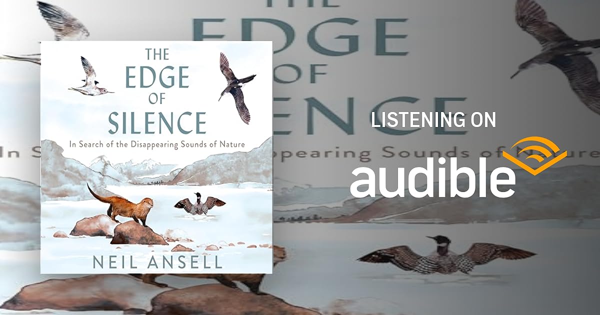 The Edge of Silence audiobook cover