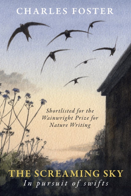 The Screaming Sky : in pursuit of swifts book cover