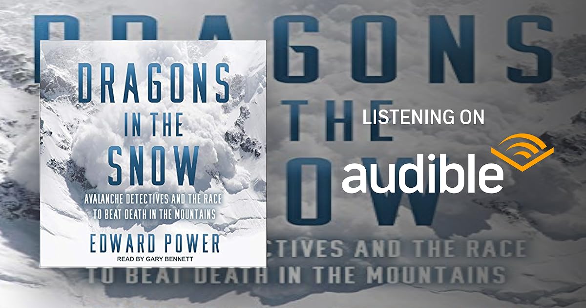 Dragons in the Snow book cover