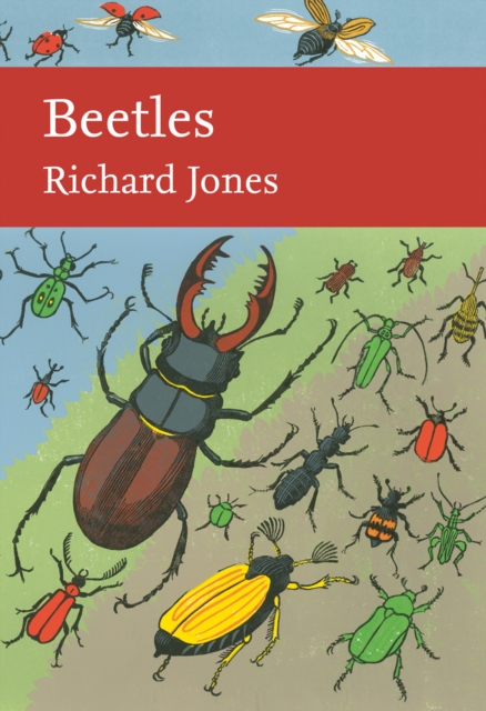 Beetles : 136 book cover
