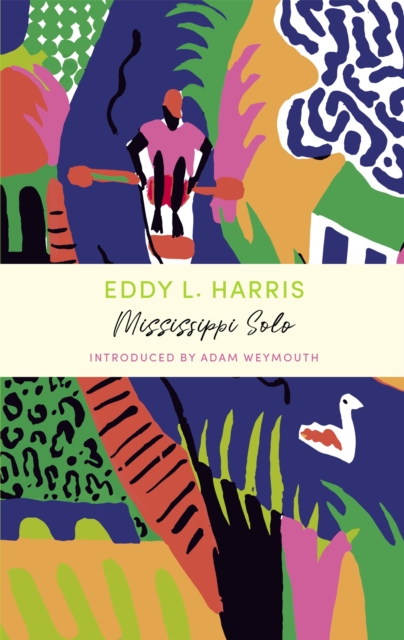 Mississippi Solo : A John Murray Journey
