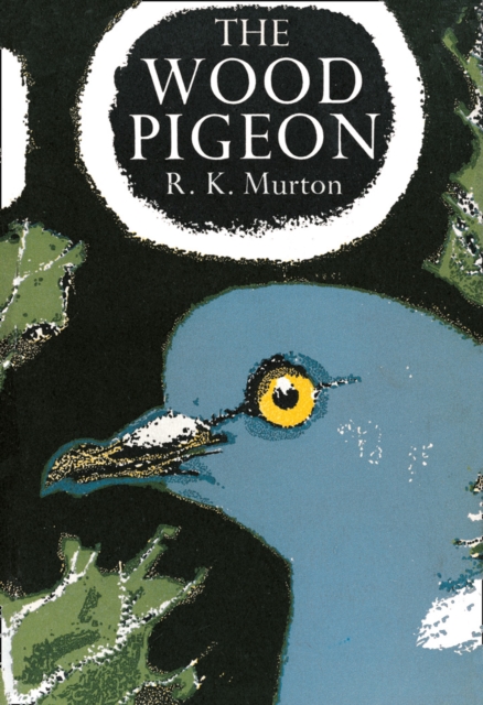 The Wood Pigeon : 20