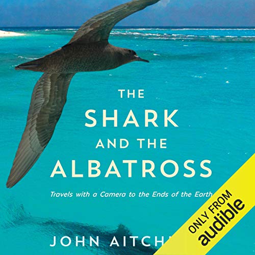 The Shark and the Albatross