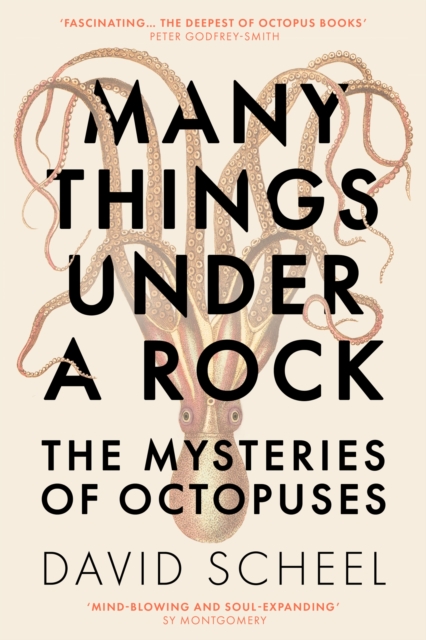 Many Things Under a Rock : The 'mind-blowing' book that reveals the mysteries of the octopus, perfect for all science enthusiasts and fans of David Attenborough