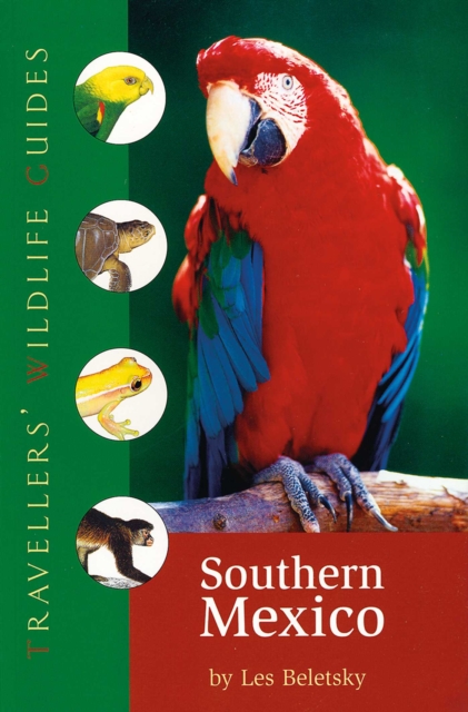Southern Mexico (Traveller's Wildlife Guides) : The Cancun Region, Yucatan Peninsula, Oaxaca, Chiapas, and Tabasco