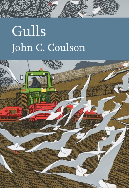 Gulls : 139