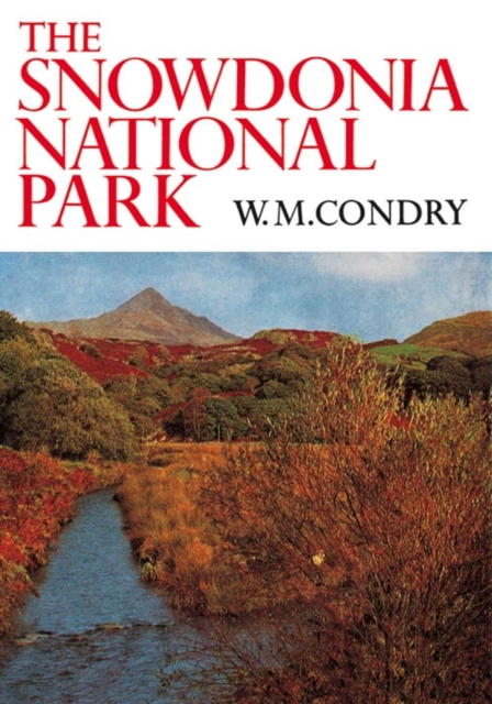 The Snowdonia National Park
