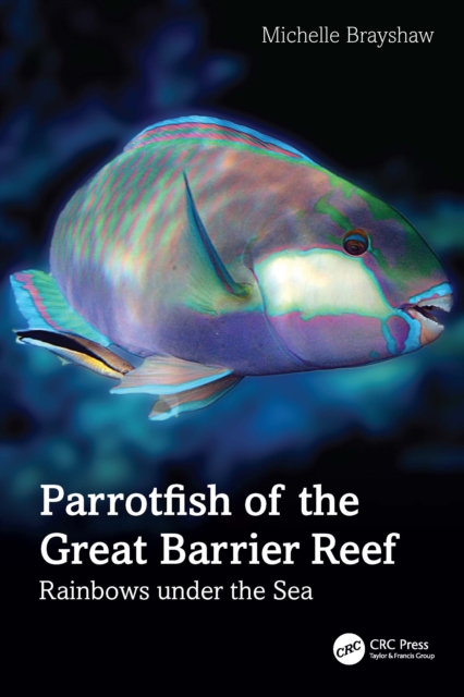 Parrotfish of the Great Barrier Reef : Rainbows under the Sea