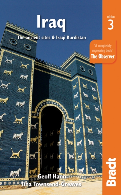 Iraq book cover