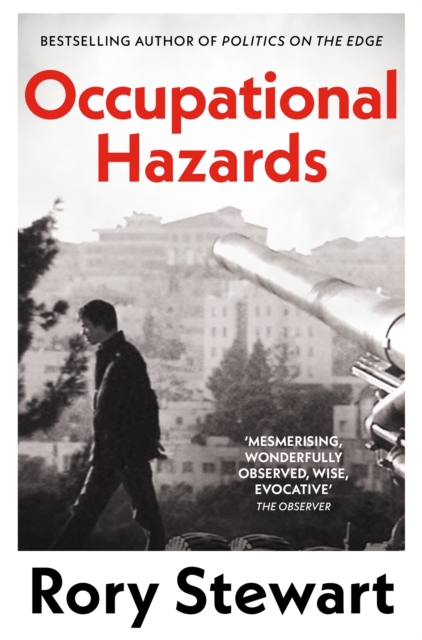 Occupational Hazards book cover