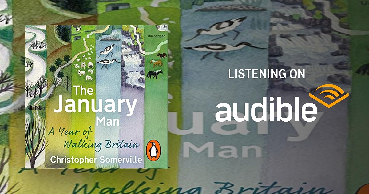 The January Man audiobook cover