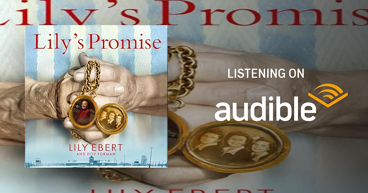 Lily's Promise book cover