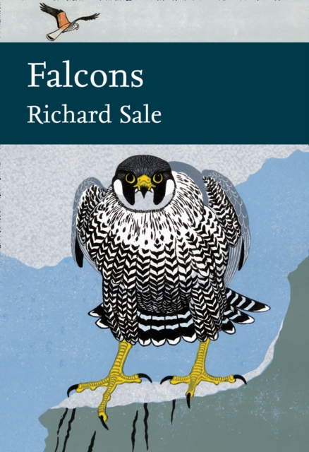 Falcons : 132