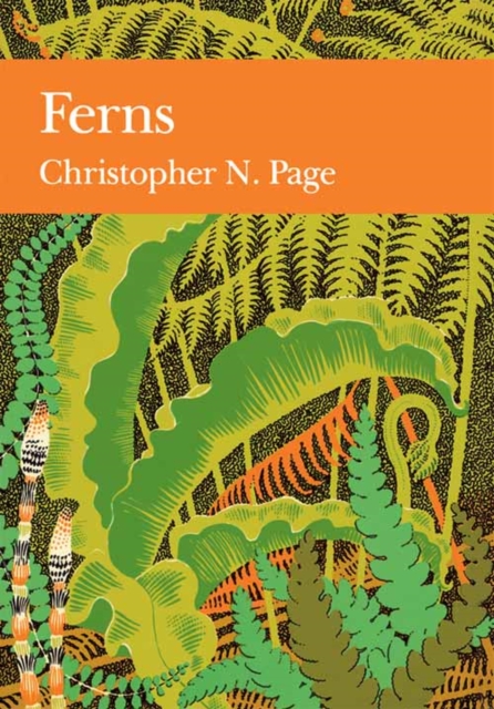 Ferns : 74