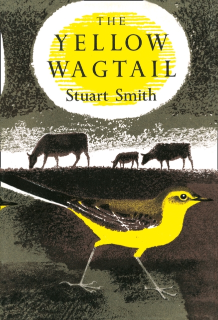 The Yellow Wagtail : 4