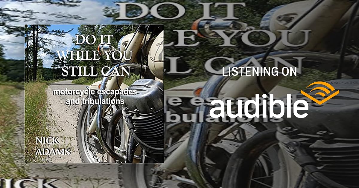 Do It While You Still Can book cover