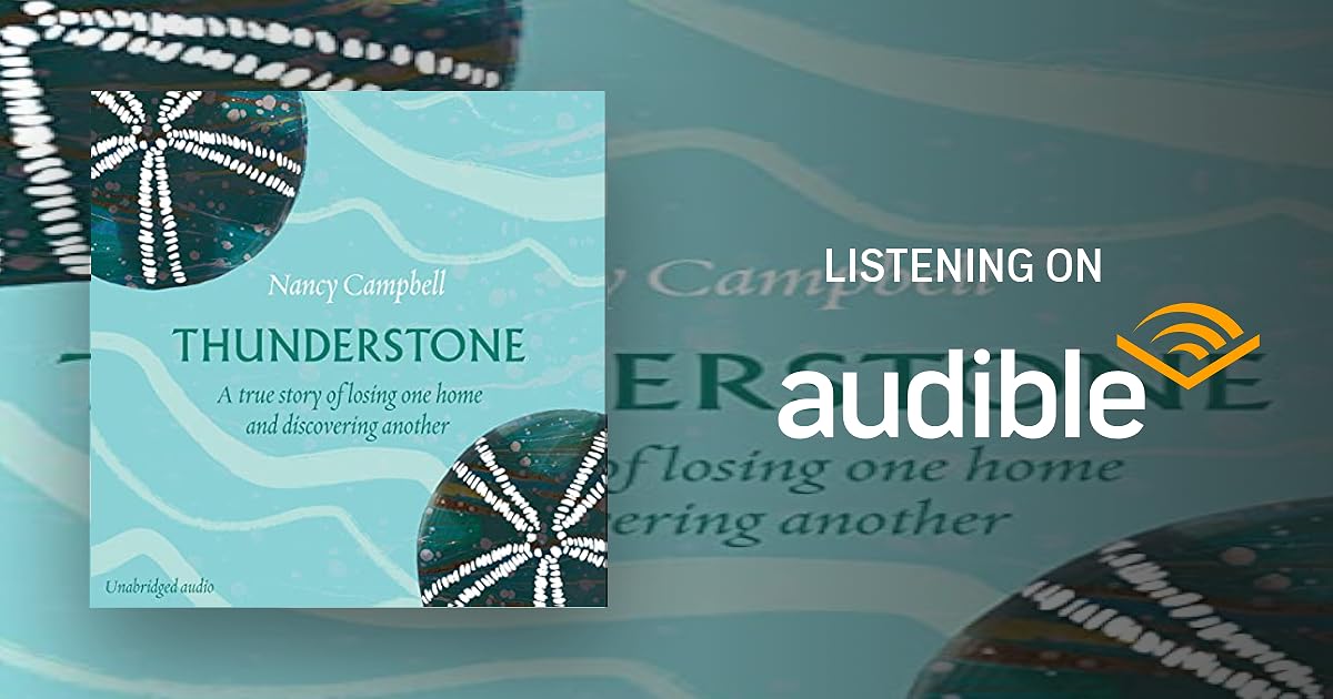 Thunderstone book cover