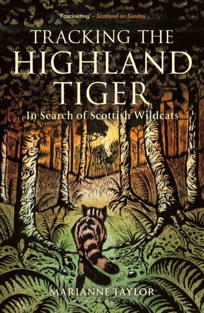 Tracking The Highland Tiger : In Search of Scottish Wildcats book cover